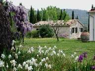 casali in toscana per agriturismo a Saturnia